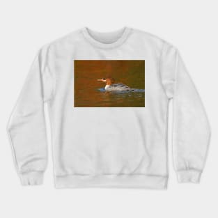 Common Merganser - Algonquin Park, Canada Crewneck Sweatshirt